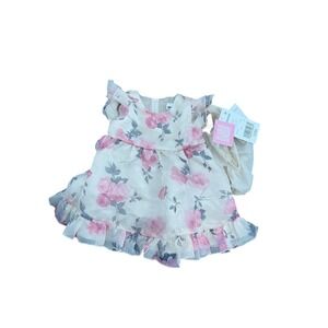 Rare Editions Baby Girls Pink Rose Floral Organza Dress Set 12M Taupe Y2K Style